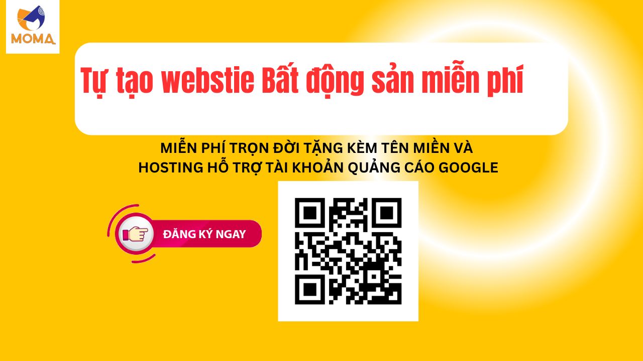 Thiết kế website tại Hải Phòng - moma.vn